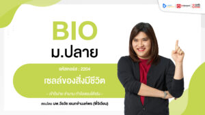 เซลล์ของสิ่งมีชีวิต