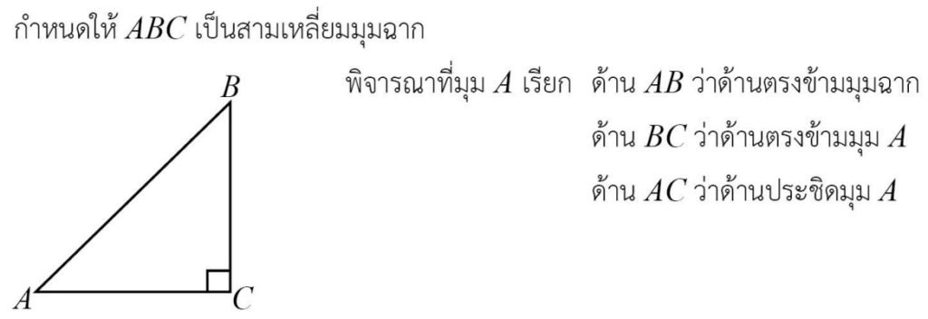 ตรีโกณมิติ , ฟังก์ชันตรีโกณมิติ , ตรีโกณ