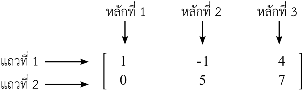 เมทริกซ์