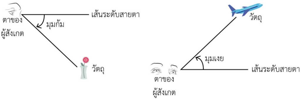 ตรีโกณมิติ , ฟังก์ชันตรีโกณมิติ , ตรีโกณ